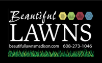Beautiful Lawns